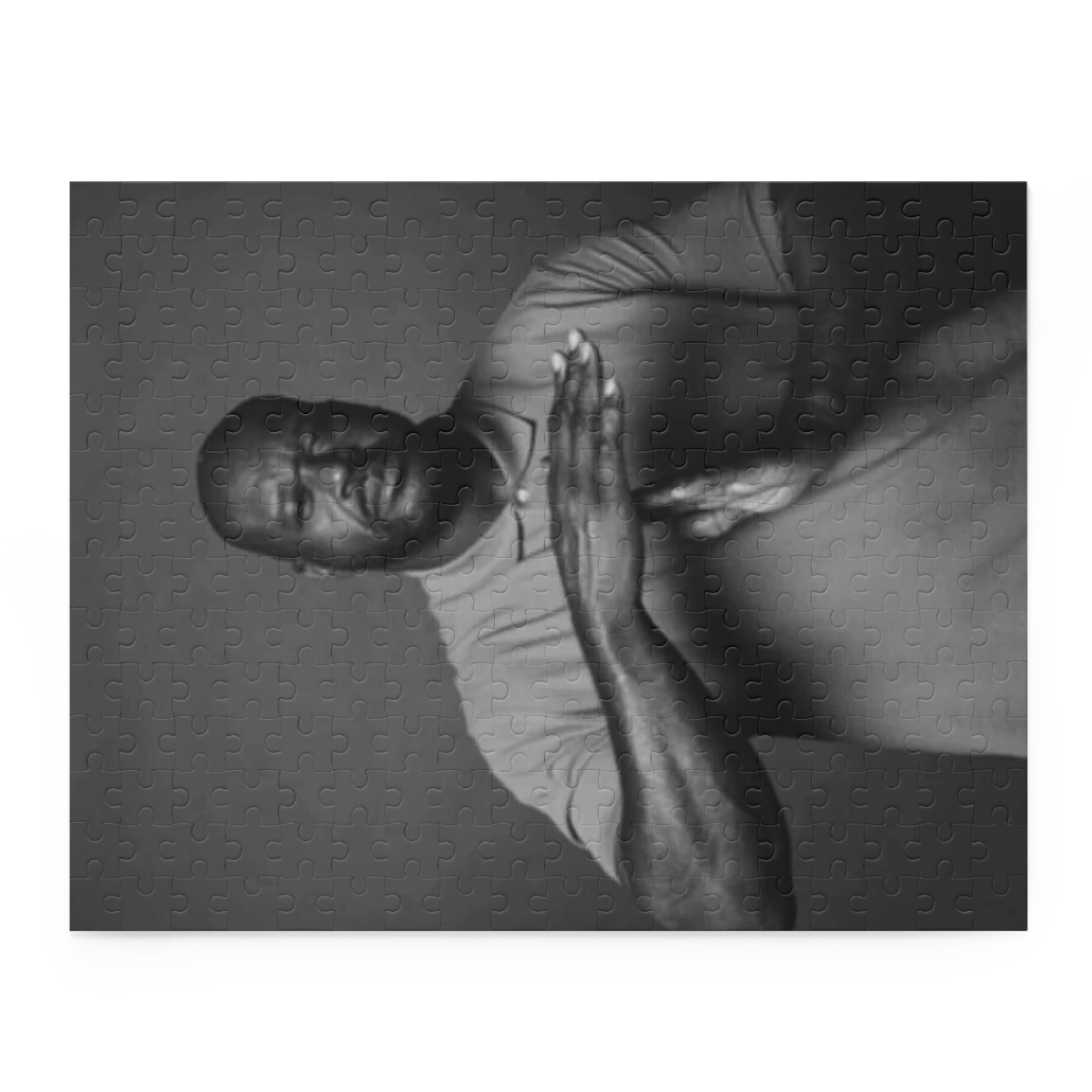 Timeout Shaq